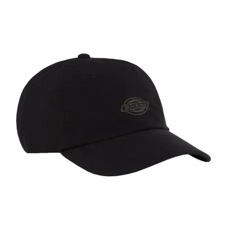 디키즈 Duck Canvas Dad 모자 142181234