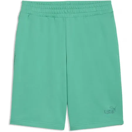 푸마 ESS Small No1 Logo 10in 운동복 반바지 142740014