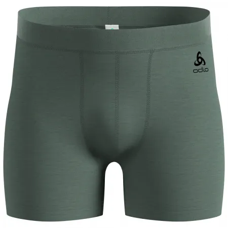 ODLO Merino 160 복서 브리프 3142296396