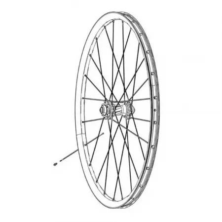 ZIPP CX-Ray J-Bend TCX 스포크 3 단위 3142533038