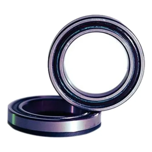 캄파놀로 SR Ultra Ceramic Qck-Tech FC-ULWRL1301 베어링 3142809700