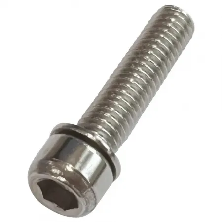 리치 Integrated M6x25L 시트포스트 클램프 나사 3143226128