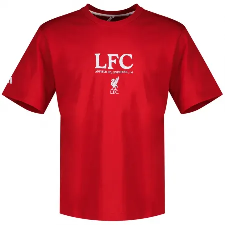 아디다스 Liverpool FC Seasonal 그래픽 반팔 티셔츠 5142649556