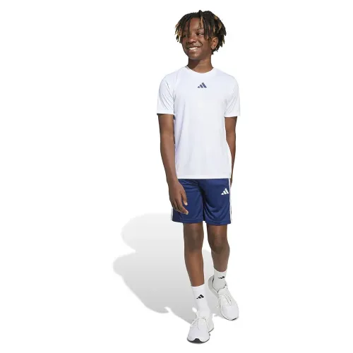 아디다스 Train Essentials 3 Stripes Tee 트랙수트 6141585788