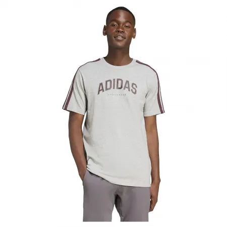 아디다스 Codes Collegiate Linear 그래픽 반팔 티셔츠 141515863