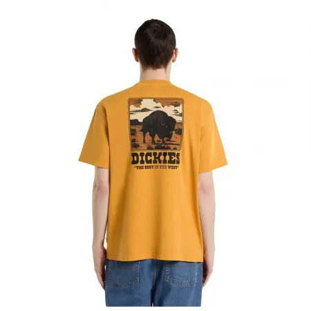 디키즈 Darrtown 반팔 티셔츠 142595745