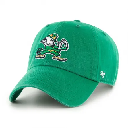 47 Notre Dame Fighting Irish Wno Loop Label 모자 143007943