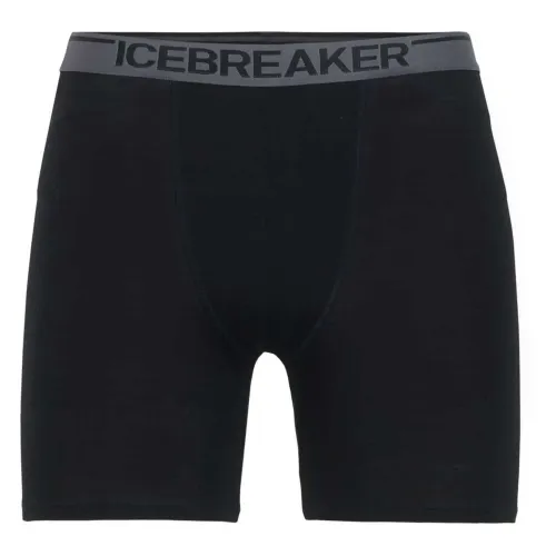 ICEBREAKER Anatomica 메리노 복서 브리프 2137245504