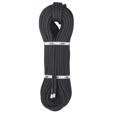 BEAL Intervention 10 mm 로프 2139184976