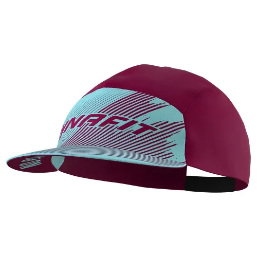 다이나핏 Alpine Graphic 모자 2139961690