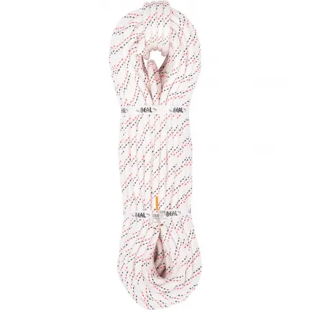 BEAL Industrie 10.5 mm 로프 2141428441