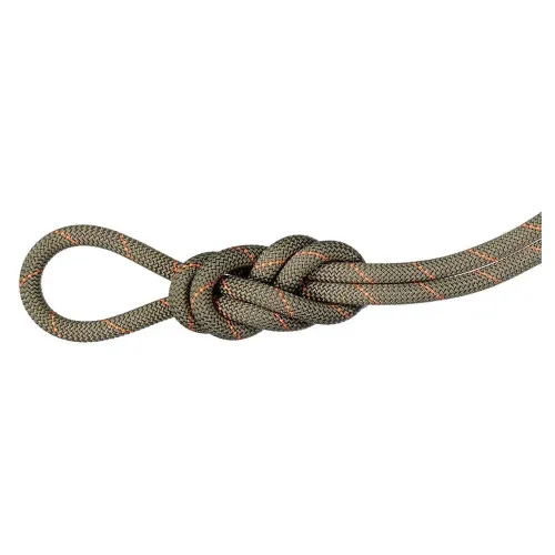 마무트 Gym Workhorse Classic 9.9 mm 로프 2141920875
