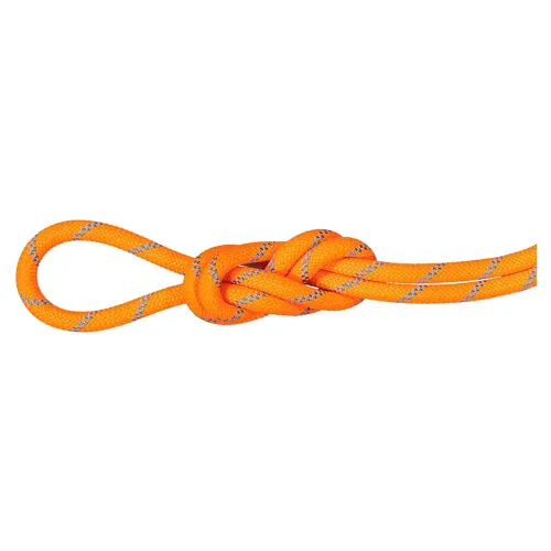 마무트 8.7 mm 알파인 Sender Dry 50 m 로프 2142466532