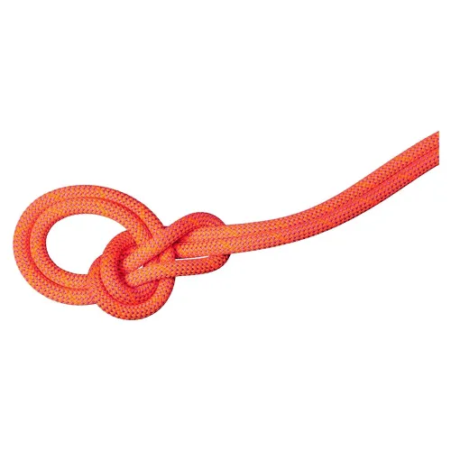 마무트 9.8 mm Crag Dry 70 m 로프 2142466561