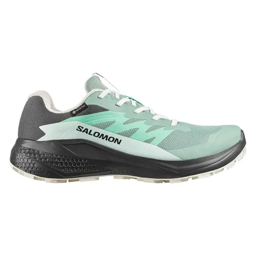 살로몬 알파glide 고어텍스 트레일 런닝화 2142751769