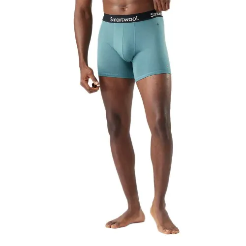 스마트울 에브리데이 메리노 Brief 복서 브리프 2142876749