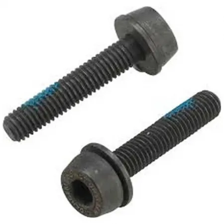 캄파놀로 나사 24 mm 3136785130