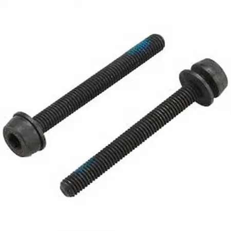 캄파놀로 디스크 브레이크 나사 44 mm 3136785134
