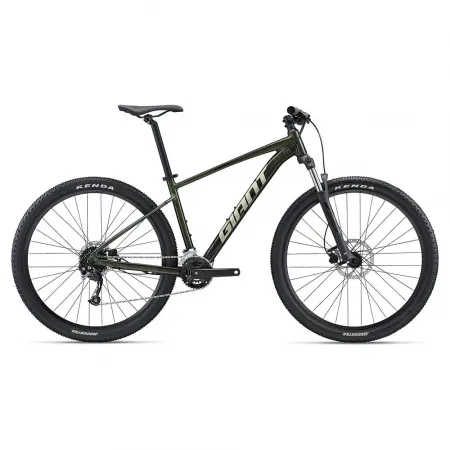 자이언트 Talon 2 29´´ Altus M2000 2022 산악자전거 3141054957