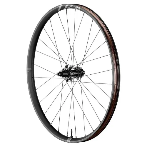자이언트 TRA 29´´ Boost 6B Disc 튜블리스 Hookless MTB 뒷바퀴 3141730650