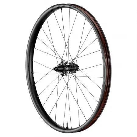 자이언트 TRX 29´´ Boost 6B Disc 튜블리스 Hookless MTB 뒷바퀴 3141730653