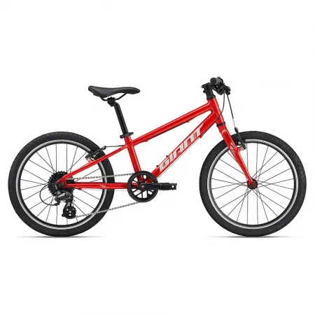 자이언트 ARX 20´´ Altus RD-M310 2025 산악자전거 3142160638