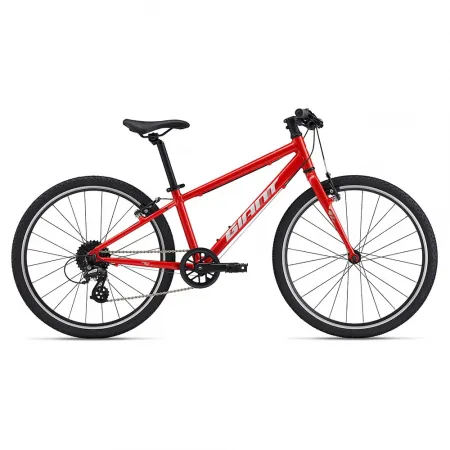 자이언트 ARX 24´´ Altus RD-M310 2025 산악자전거 3142160640