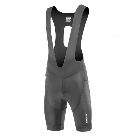 자이언트 레이스 Day 빕숏 3142588035