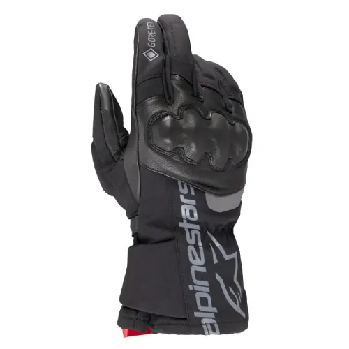 알파인스타 WT-4 GORE-TEX? Insulated 겨울 장갑 4141411874