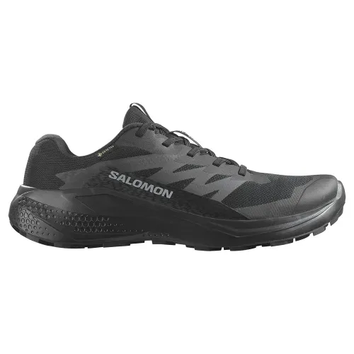 살로몬 Alphaglide Goretex 트레일 러닝화 6141627051