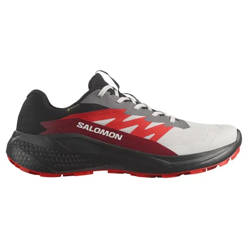 살로몬 Alphaglide Goretex 트레일 러닝화 6141627052