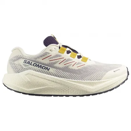 살로몬 Aero Blaze 3 Grvl 고어텍스 런닝화 6142250726