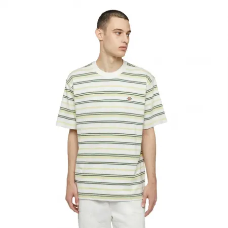 DICKIES Glade Spring 반팔 티셔츠 9140581251
