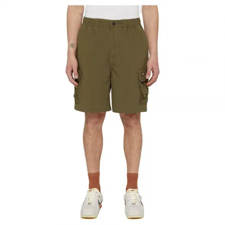 DICKIES Jackson 카고 반바지 9140581300