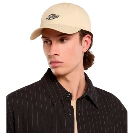 DICKIES Essential Dad 캡 9141657295