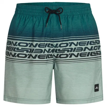 오닐 로고 Stripe 16in 수영 반바지 9142900200