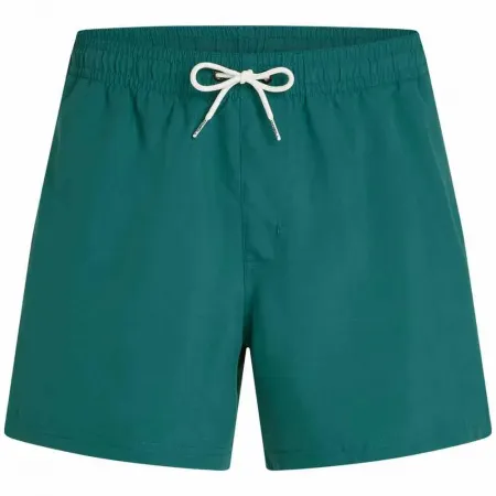 오닐 Beach 15in 수영 반바지 9143065033